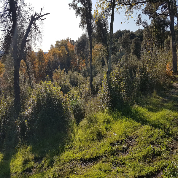 Offres de vente Terrain Sauzet 30190